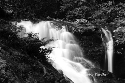 TG WaterFall