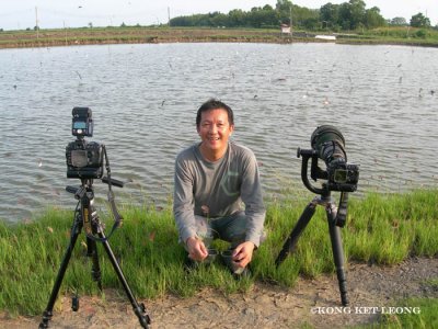 Tawau - Shooting the White Winged Terns.