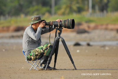 Tawau - Shooting the waders.