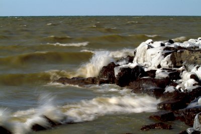 Webster Park