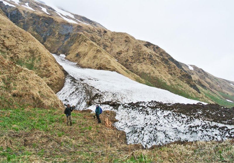 Along Gilbert Ridge.jpg