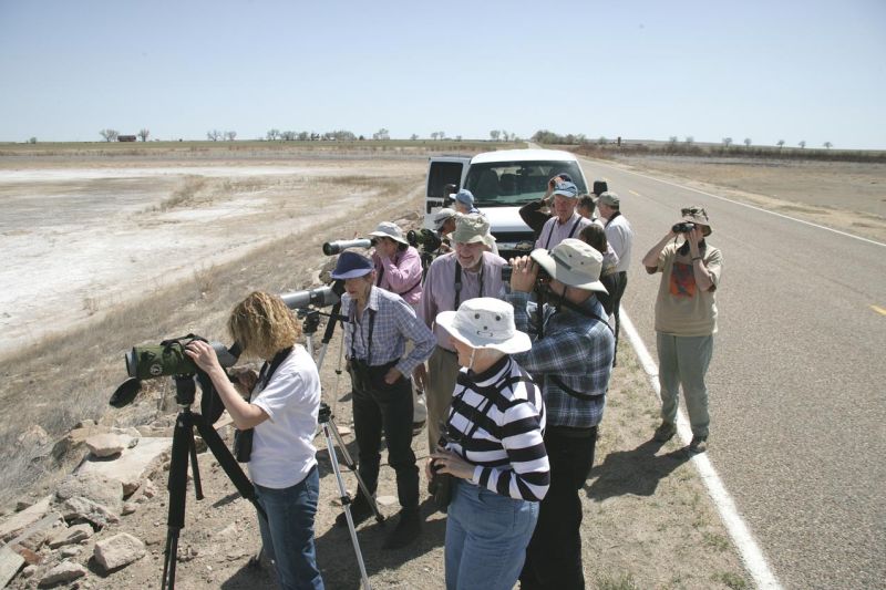 Group-12.jpg