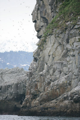 Chisolm-Bird Rock_Alaska.jpg