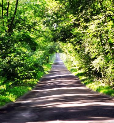 CountryLane