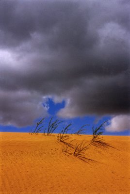 Dune-Canyon DeChelly Az.jpg