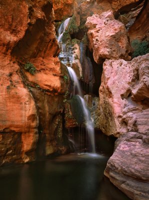 Elves Chasm Grand Canyon Az.jpg