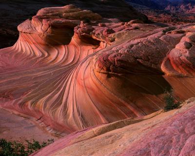 The Swirl, Paria Plateau. N. Arizona