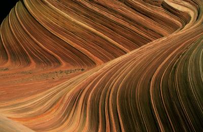 The Wave, Paria Plateau, N. Arizona