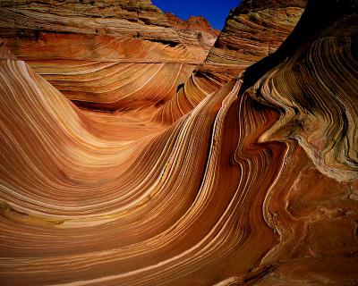 The Wave, Paria Plateau, N. Arizona