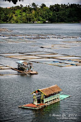 Sampaloc Lake D700_15408 copy.jpg