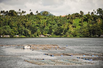 Sampaloc Lake D700_15410 copy.jpg