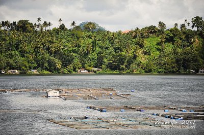 Sampaloc Lake D700_15410-2 copy.jpg