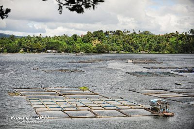 Sampaloc Lake D700_15413 copy.jpg