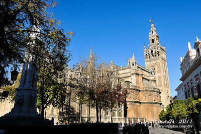 Cathedral, Sevilla, Spain D300_26801 copy.jpg