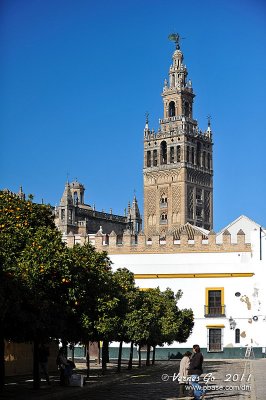 Cathedral, Sevilla, Spain D700_15831 copy.jpg