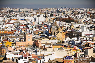 Giralda Tower, Sevilla, Spain D700_15798 copy.jpg