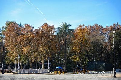 Plaza de Espana, Sevilla, Spain D700_15711 copy.jpg