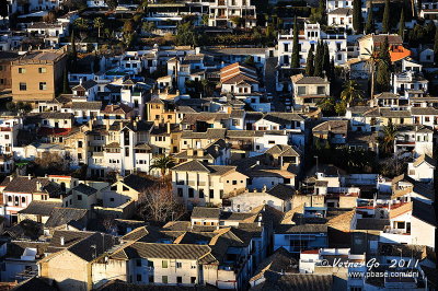 Granada, Spain D700_15974 copy.jpg