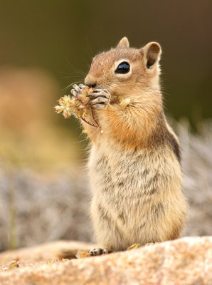 Snack time