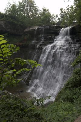 Brandywine 1-01.jpg