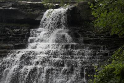 Brandywine 47P Freeze-01.jpg