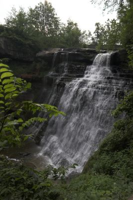 Brandywine2-01.jpg