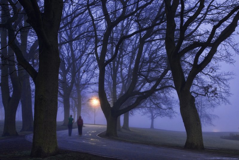 The winding path