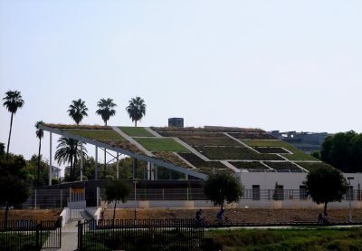 Seville: Green roof.