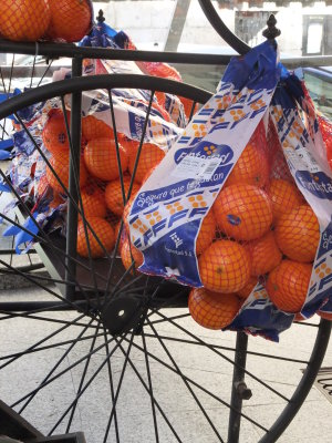 Mercado de San Miguel. Oranges and bike wheel,