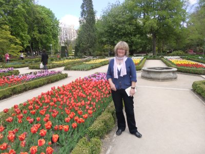 Tulips in Real Jardin Botanico