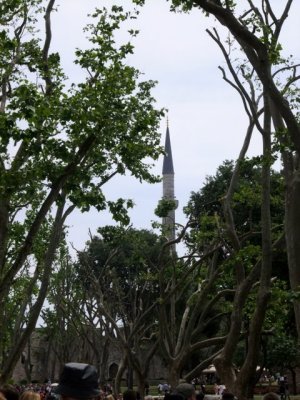 Topkapi Palace. Straight spire amongst twisty trees