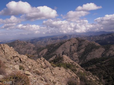 Cyprus february 2011, Kyperounta mountains #2