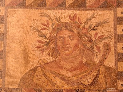 Cyprus february 2011, Bacchus, roman mosaics