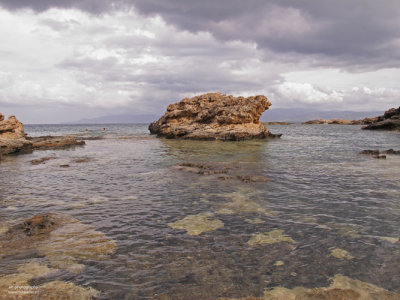 Cyprus february 2011, Akamas peninsula #3