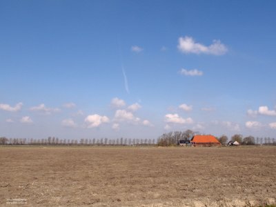 Friesland, Netherlands, march 2011 #2