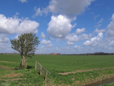 Friesland, Netherlands, april 2011