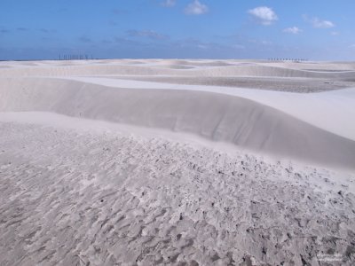 Schiermonnikoog beach, Netherlands may 2011