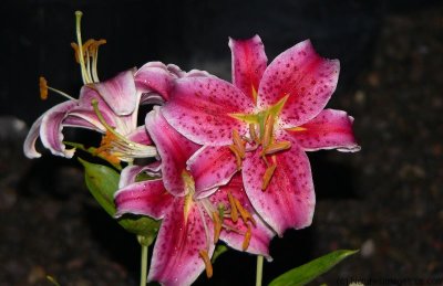 g4/77/820977/3/90943203.8rgCt1jB.jpg