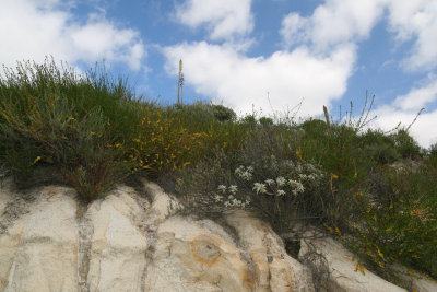 Limestone Canyon