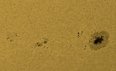 Sunspot NOAA 1450