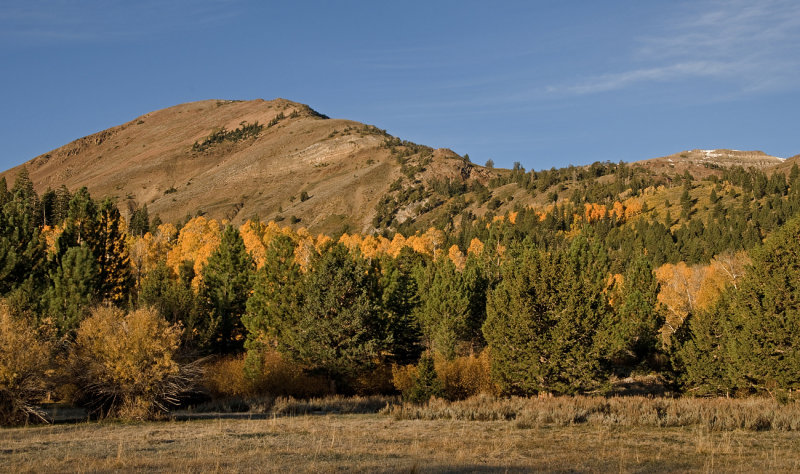 _DSC4927a.jpg