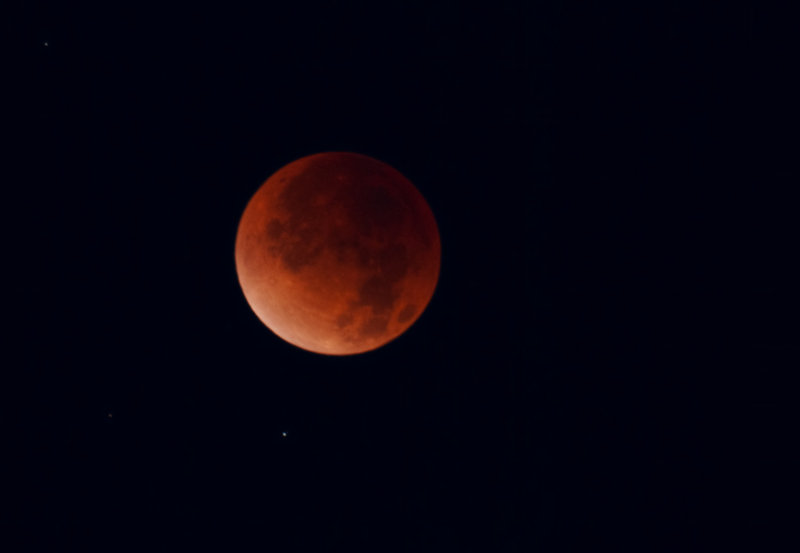 DSC_1161b.jpg