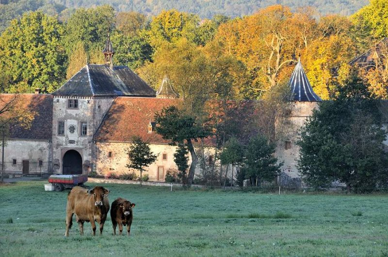 chateau de Thanville - 2011