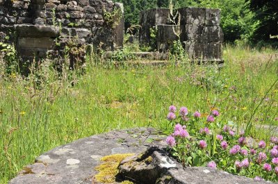 Ruines de l'Abbaye de Niedermunster