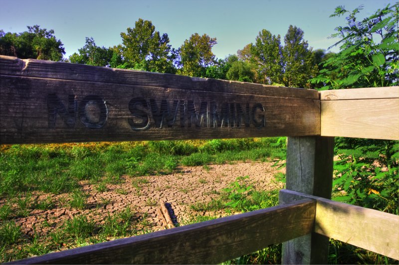 Texas Summer 2 2011