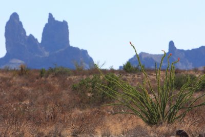 Big Bend NP Mule Ears