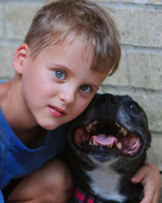 a boy and his dog