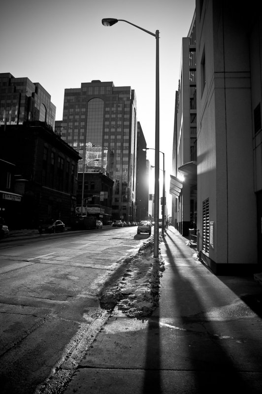 Longues ombres / Long Shadows
