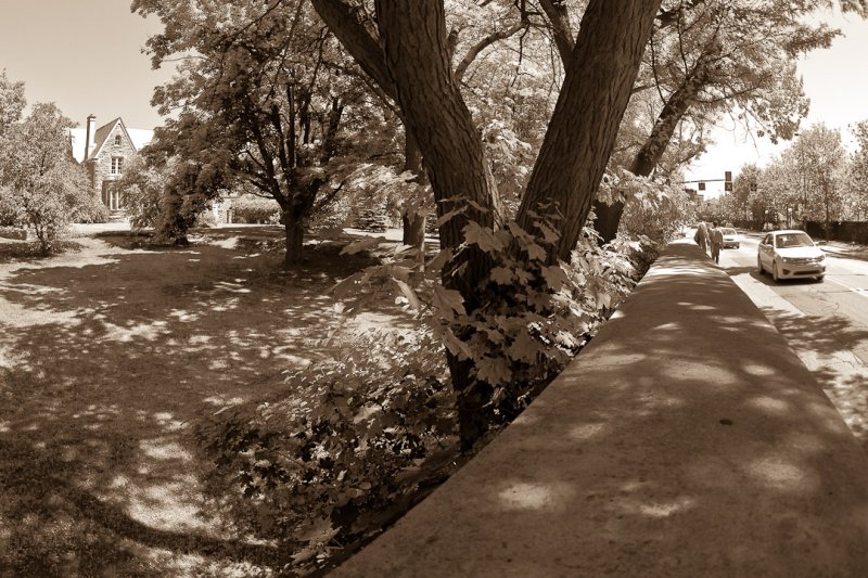 Boul. Tach, midi / Tach Blvd., Noon