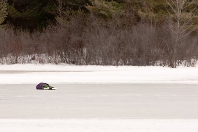 Plaisirs d'hiver (pause) / Winter Fun (Pause)